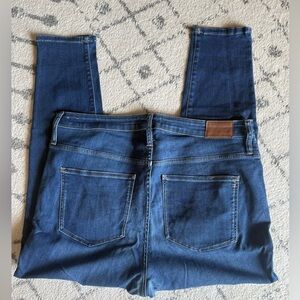 Madewell Indigo Skinny Jeans